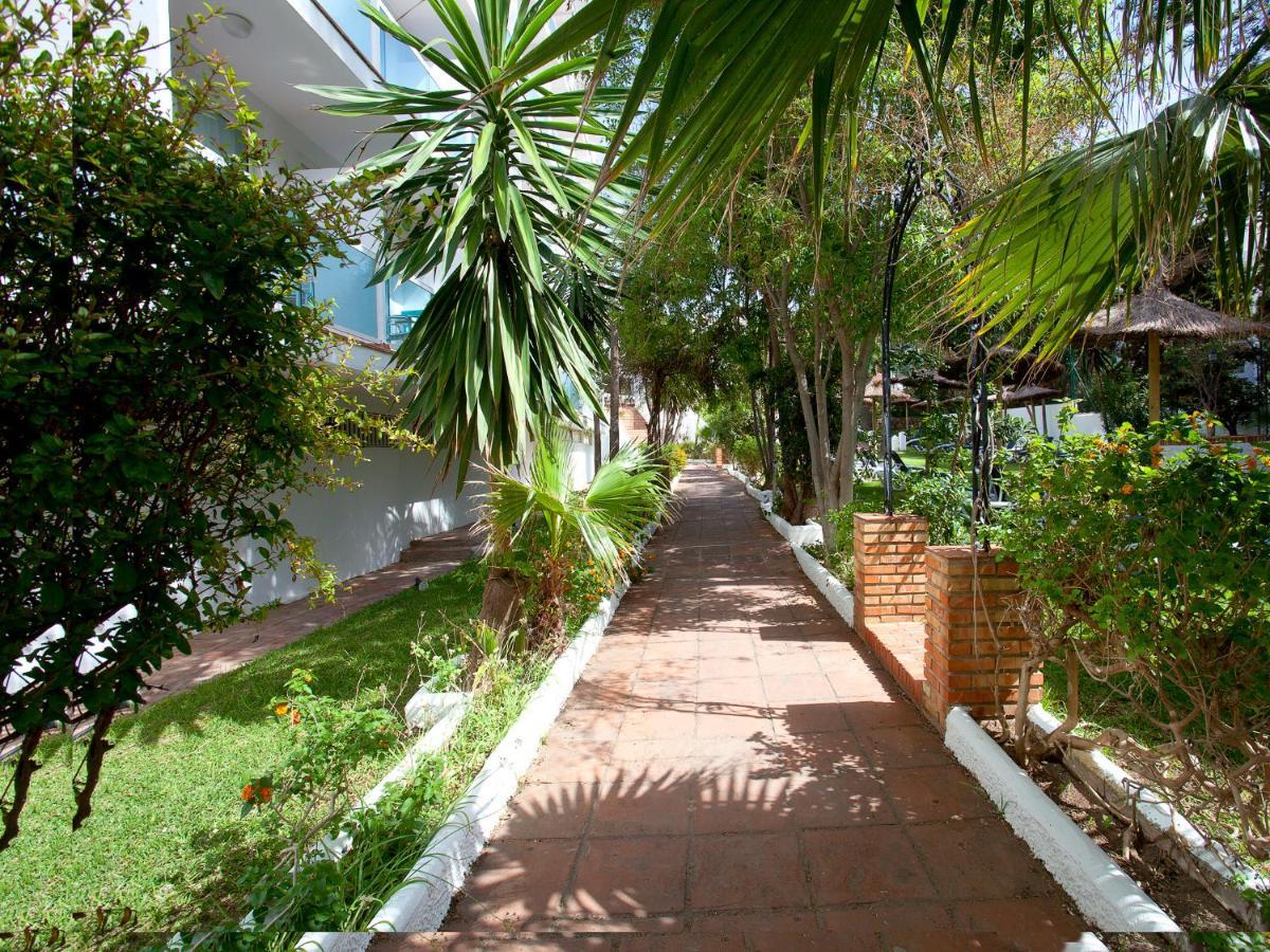 Palia Palomas Torremolinos